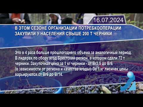 Новостная лента Телеканала Интекс 16.07.24.