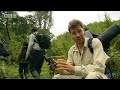 Extreme Animals: Mountain Gorilla