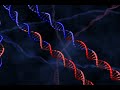 DNA Holliday Junction DNA Holliday Junction