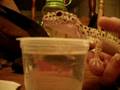 videos de Yuya is thirsty