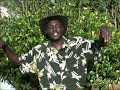 Nyumba mwinau? Demathew