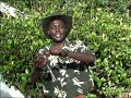 Nyumba mwinau? Demathew
