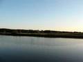 Geese at MacNeill's Pond Cavendish PEI