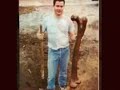 GIANT of INDIA Part 3 GIANT of INDIA Part 3