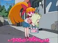 Powerpuff girls z(Blossom)