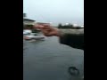 Flood Action
