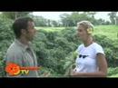 Vanuatu : Ecotours