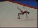 Topgym 2008: Katharina Muller GER FX