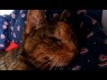 20120515 Snoepie's last look - lasts 0:20 seconds