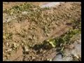 i am searching for a canteloupe in a honeydew field