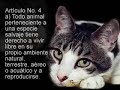 Declaración de los Derechos Animales by Lionel Falcon