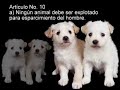 Declaración de los Derechos Animales by Lionel Falcon
