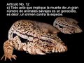 Declaración de los Derechos Animales by Lionel Falcon