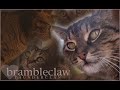 Tribute to Tigerstar\