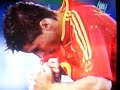 Fernando Torres (Spain Vs France