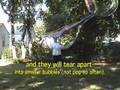 Big Outdoor Soap Bubbles ~ Recipe & How To Do. Time Warp Discovery Channel Featured Expert