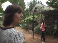 videos de Amanda Hachey (Vietnam volunteer)