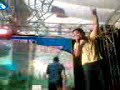 raza for chrits-gozate cozumel