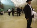 Inside The Kotel (Wall)