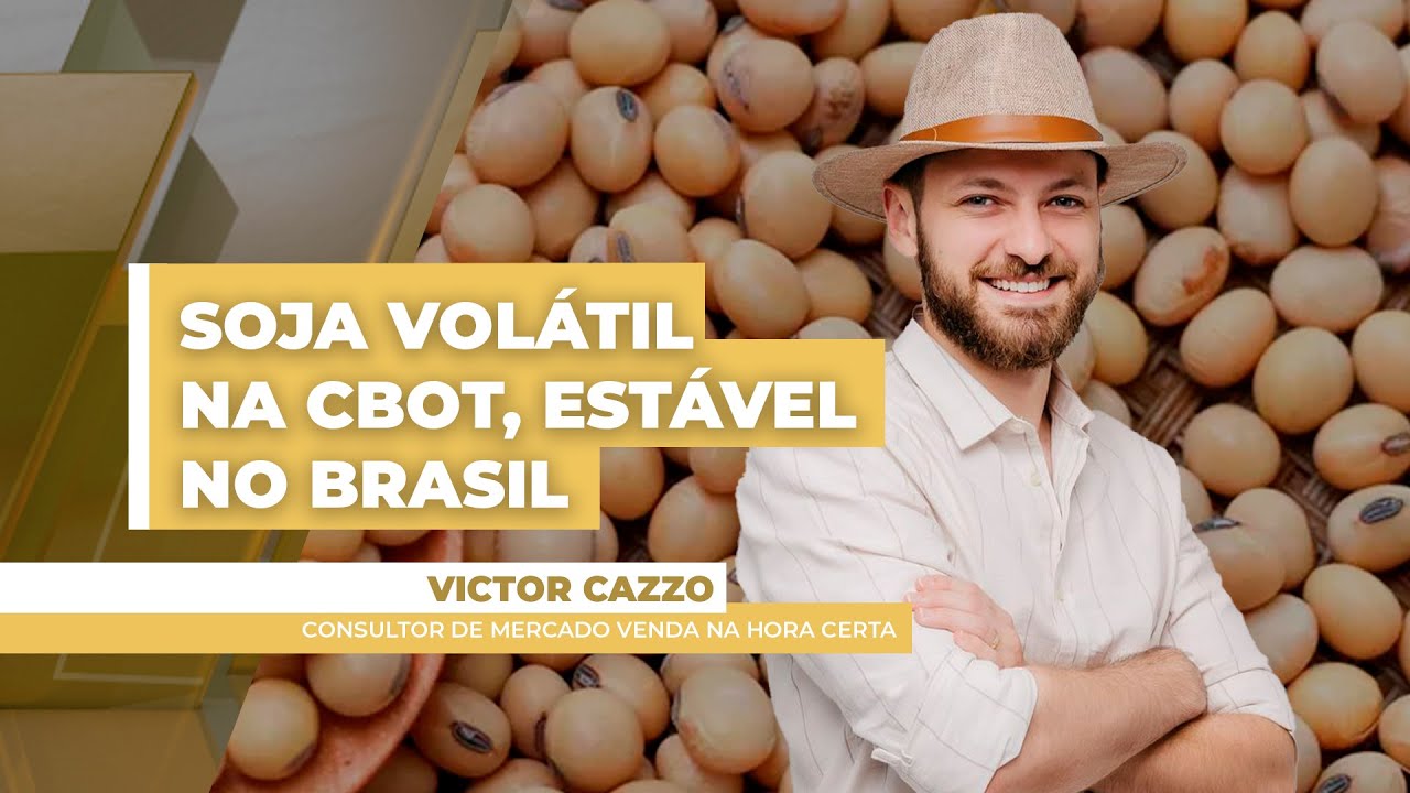 Com prêmios renovando a máxima e dólar em queda, preços da soja ao produtor pouco mudam no BR...
