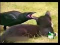 An unlikely friendship