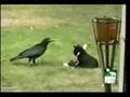 An unlikely friendship