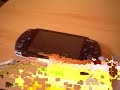 Playstation Portable (PSP) and Nintendo DS