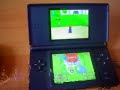 Playstation Portable (PSP) and Nintendo DS