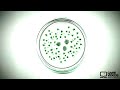 Bio Shock Trailer