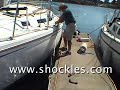 Shockles Dockline
