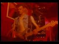 The Sharks-Short Shark Shock