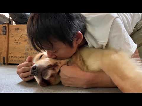動画