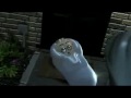 Nintendo DS: LEGO Harry Potter years 1-4 Game Trailer