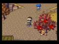Animal Crossing: City Folk (Buying an expansion)