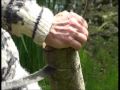 LA GREFFE EN COURONNE A LANGUENAN