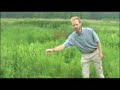 Wetlands Scientist
