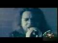 La Cuca - el son del dolor