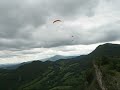 Moulis