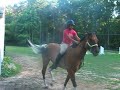 FIRST TIME EVR CANTERING BAREBACK cantering bareback hurt! but it was fun