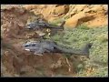 AH64 Apache compilation AH64 Apache compilation