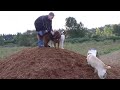 Daniel and the Dogs at Marymoor Park