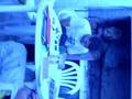 videos de Yama y Nutria.avi