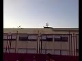 tarantella minniti palmi