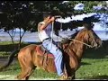 Botinha o grande cavalo