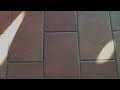 MY_shadow01.m4v