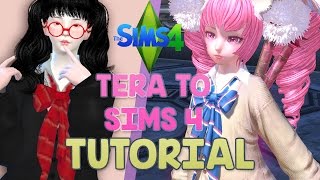 TERA TO TS4 TUTORIAL
