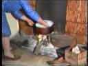 videos de Formatge,Llet formatjada, Brossat,.mpg