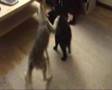 Barney and Visko #4 video
