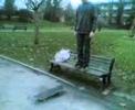 Jackass - Skateball II