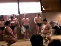 Kotomitsuki vs Kotoshogiku